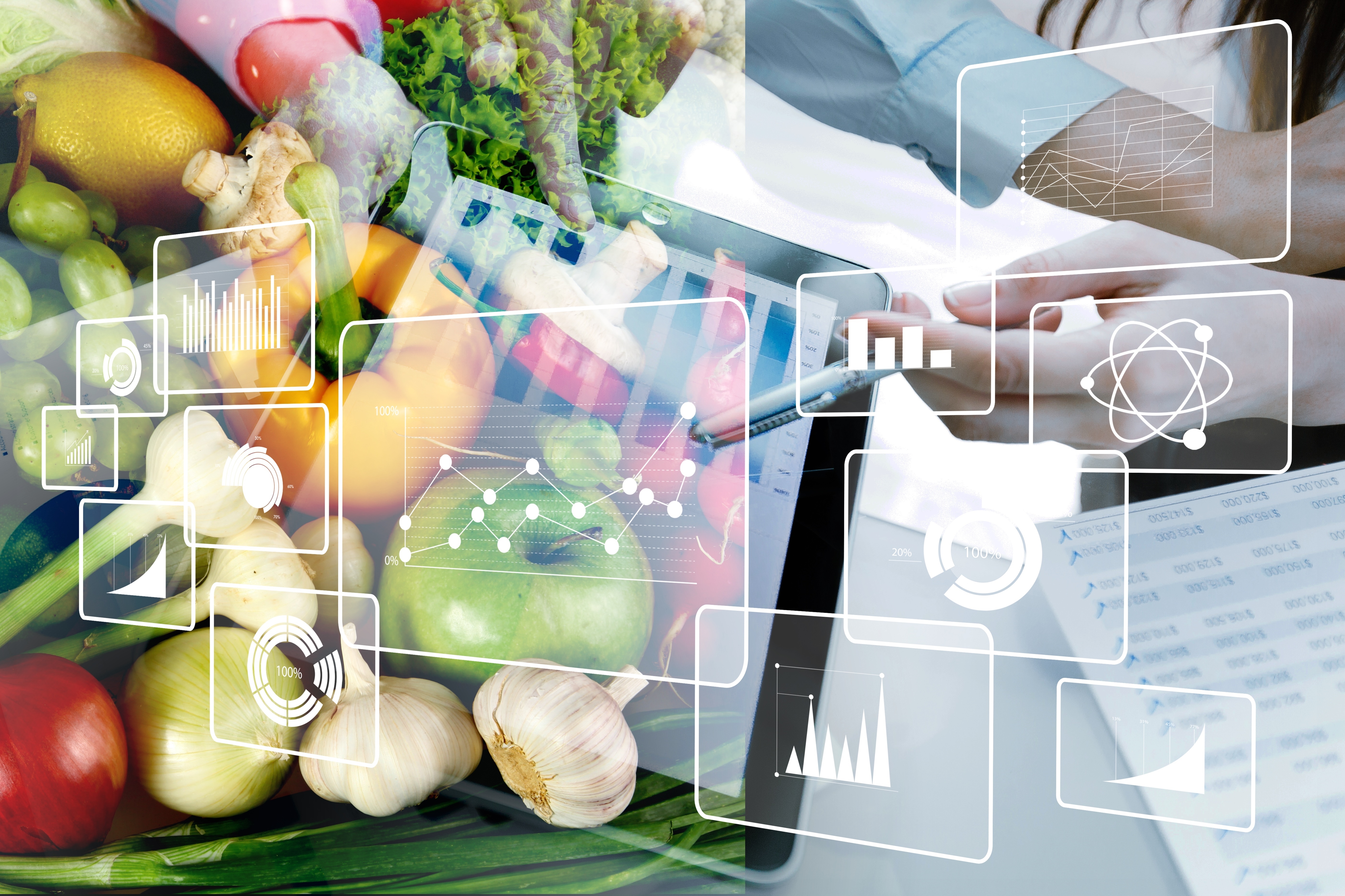 Concepto de ciencia y alimentación. Vegetales e ilustraciones médicas